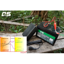 6V2A Automatic Trickle Lead acid battery Charger Storage Battery Charger